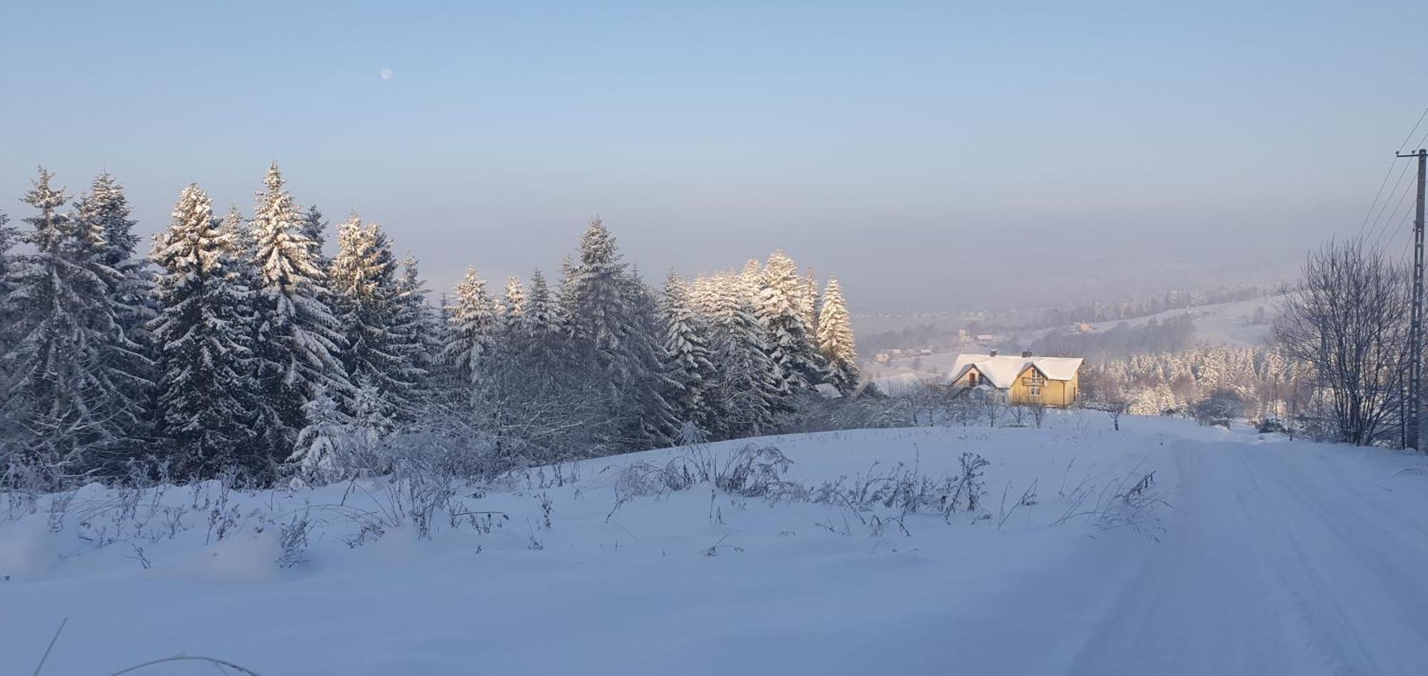 Agroturystyka Koronkowe Zacisze Koniakow Bagian luar foto