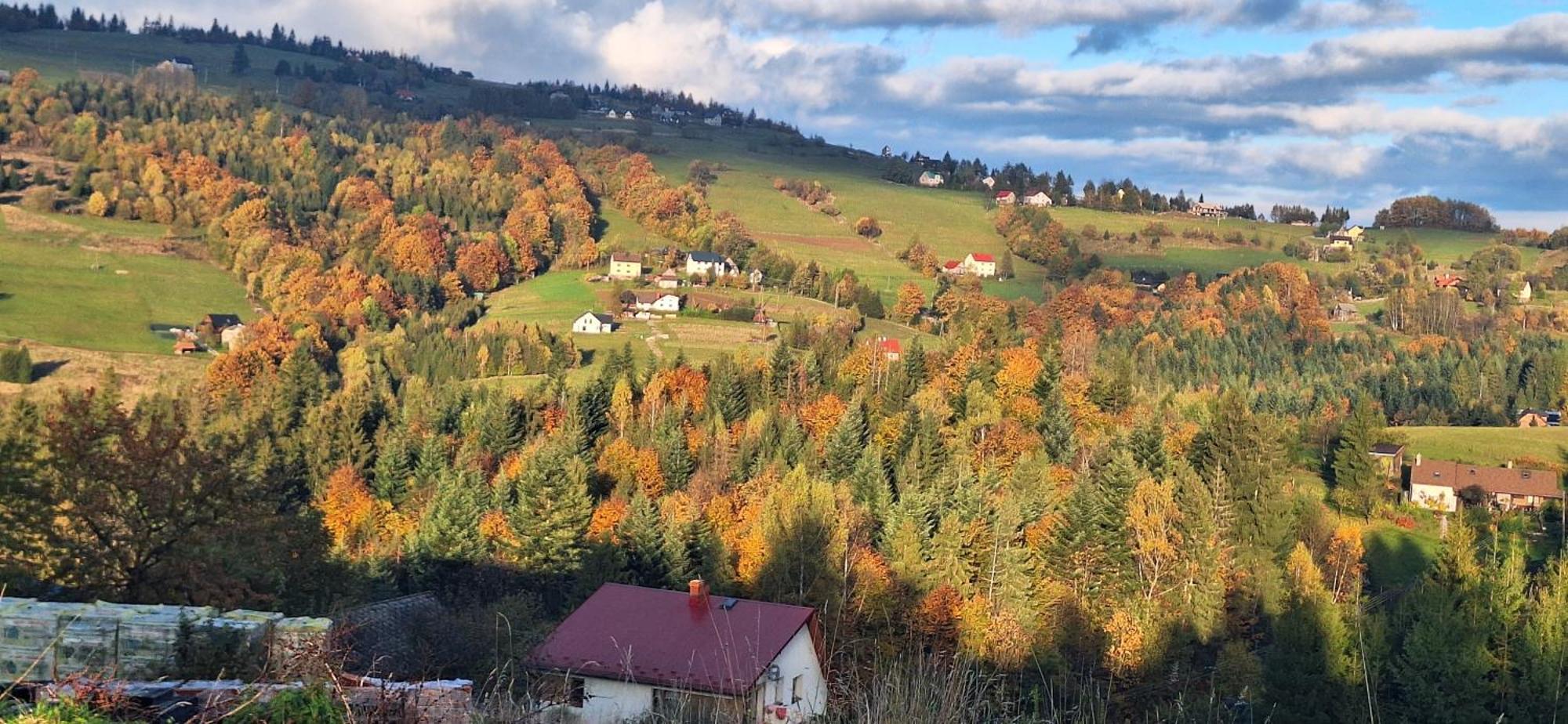 Agroturystyka Koronkowe Zacisze Koniakow Bagian luar foto