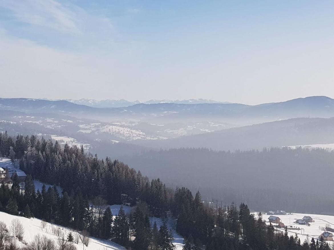 Agroturystyka Koronkowe Zacisze Koniakow Bagian luar foto
