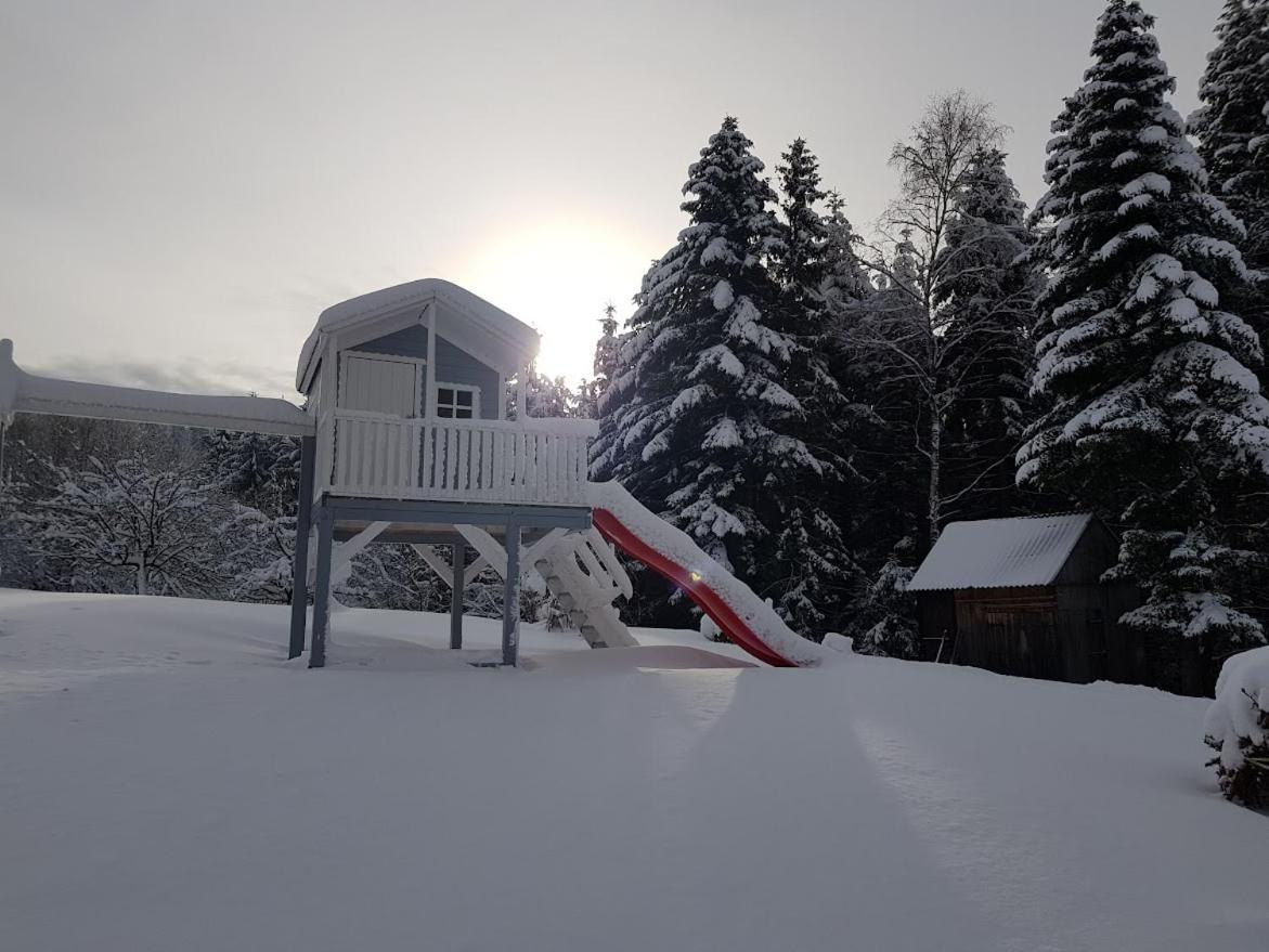 Agroturystyka Koronkowe Zacisze Koniakow Bagian luar foto