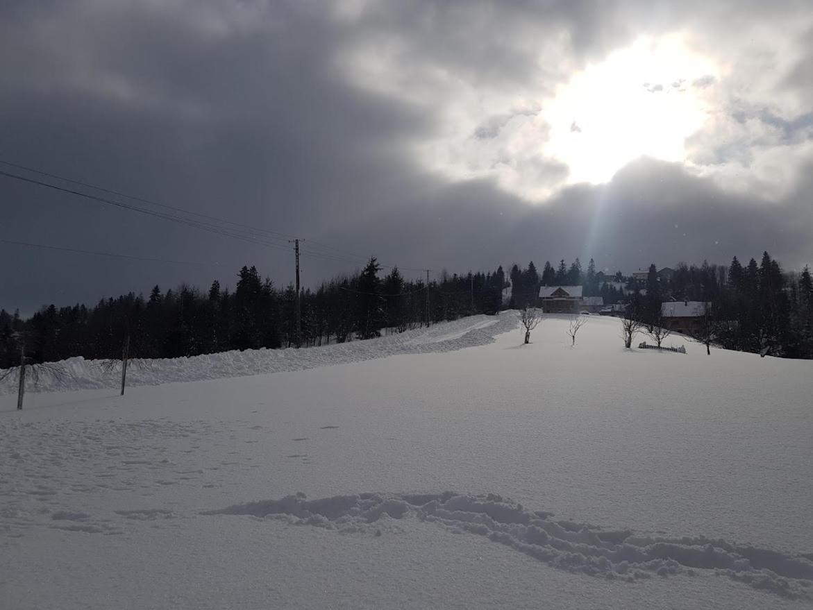 Agroturystyka Koronkowe Zacisze Koniakow Bagian luar foto