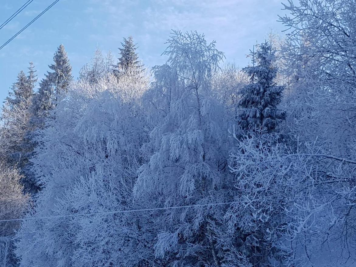 Agroturystyka Koronkowe Zacisze Koniakow Bagian luar foto