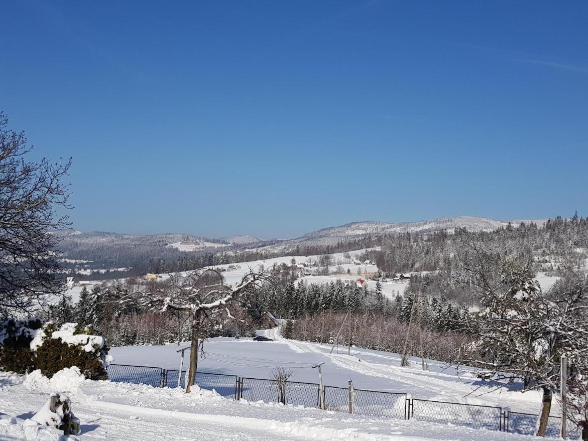 Agroturystyka Koronkowe Zacisze Koniakow Bagian luar foto